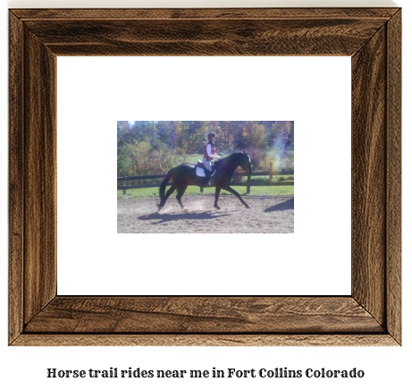 horse trail rides near me in Fort Collins, Colorado